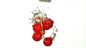 Branch of red currant falls underwater with bubbles. Filmed is slow motion 1000 fps. High quality FullHD footage video