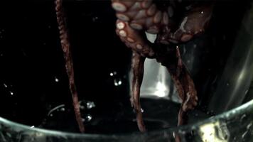 een vers Octopus valt in de water met spatten. gefilmd Aan een hoge snelheid camera Bij 1000 fps. hoog kwaliteit full HD beeldmateriaal video