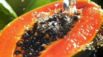 Fresco tropical papaya con gotas y salpicaduras de agua. filmado en un alta velocidad cámara a 1000 fps. alto calidad full HD imágenes video