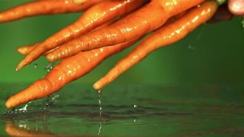 Frais carottes dans main. filmé est lent mouvement 1000 ips. haute qualité Full HD métrage video