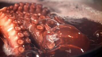 Octopus is gekookt in een pan. gefilmd Aan een hoge snelheid camera Bij 1000 fps. hoog kwaliteit full HD beeldmateriaal video