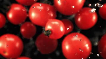 frisch Tomaten mit Tropfen von Wasser fliegen oben und fallen runter. auf ein schwarz Hintergrund. oben Sicht. gefilmt ist schleppend Bewegung 1000 fps. video