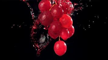 Red wine runs down a branch of a grape. Filmed on a high-speed camera at 1000 fps. High quality FullHD footage video