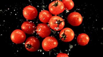 vers tomaten met druppels van water vlieg omhoog en val. Aan een zwart achtergrond. top visie. gefilmd is langzaam beweging 1000 fps. video