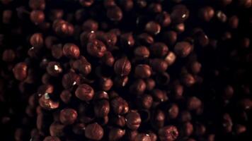 Hazelnuts rise up and fall down. Top view. On a black background. Filmed is slow motion 1000 fps. video