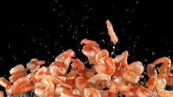 A pile of fresh shrimp soars up and falls. On a black background. Filmed is slow motion 1000 fps. video