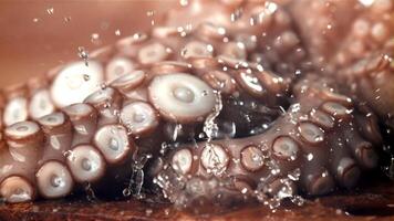 druppels van water vallen Aan een vers Octopus. gefilmd Aan een hoge snelheid camera Bij 1000 fps. hoog kwaliteit full HD beeldmateriaal video