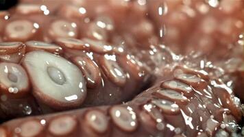 Drops of water fall on a fresh octopus. Filmed on a high-speed camera at 1000 fps. High quality FullHD footage video