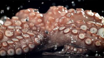 druppels van water vallen Aan een vers Octopus. gefilmd Aan een hoge snelheid camera Bij 1000 fps. hoog kwaliteit full HD beeldmateriaal video
