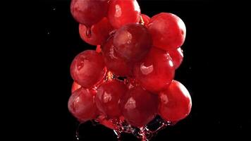 Red wine runs down a branch of a grape. Filmed on a high-speed camera at 1000 fps. High quality FullHD footage video