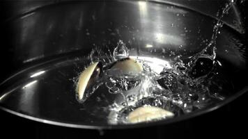 Fresh vongole fly into the pan. Filmed on a high-speed camera at 1000 fps. High quality FullHD footage video