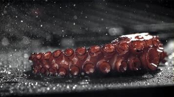 gebakken Octopus tentakels Aan een frituren pan met een plons van olie. gefilmd Aan een hoge snelheid camera Bij 1000 fps. hoog kwaliteit full HD beeldmateriaal video