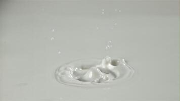 Splashes from a drop of milk. Filmed on a high-speed camera at 1000 fps. High quality FullHD footage video