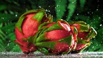 gotas do água outono em uma tropical Dragão fruta. filmado em uma alta velocidade Câmera às 1000 fps. Alto qualidade fullhd cenas video