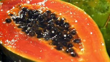 frisch tropisch Papaya mit Tropfen und spritzt von Wasser. gefilmt auf ein schnelle Geschwindigkeit Kamera beim 1000 fps. hoch Qualität fullhd Aufnahmen video