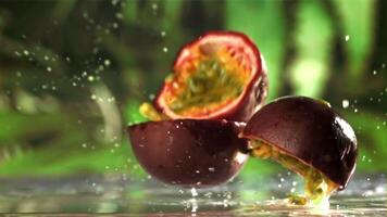 Frais tropical passion fruit chutes sur une humide tableau. filmé sur une haute vitesse caméra à 1000 ips. haute qualité Full HD métrage video