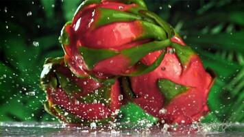 A dragon fruit falls on a wet table. Filmed on a high-speed camera at 1000 fps. High quality FullHD footage video