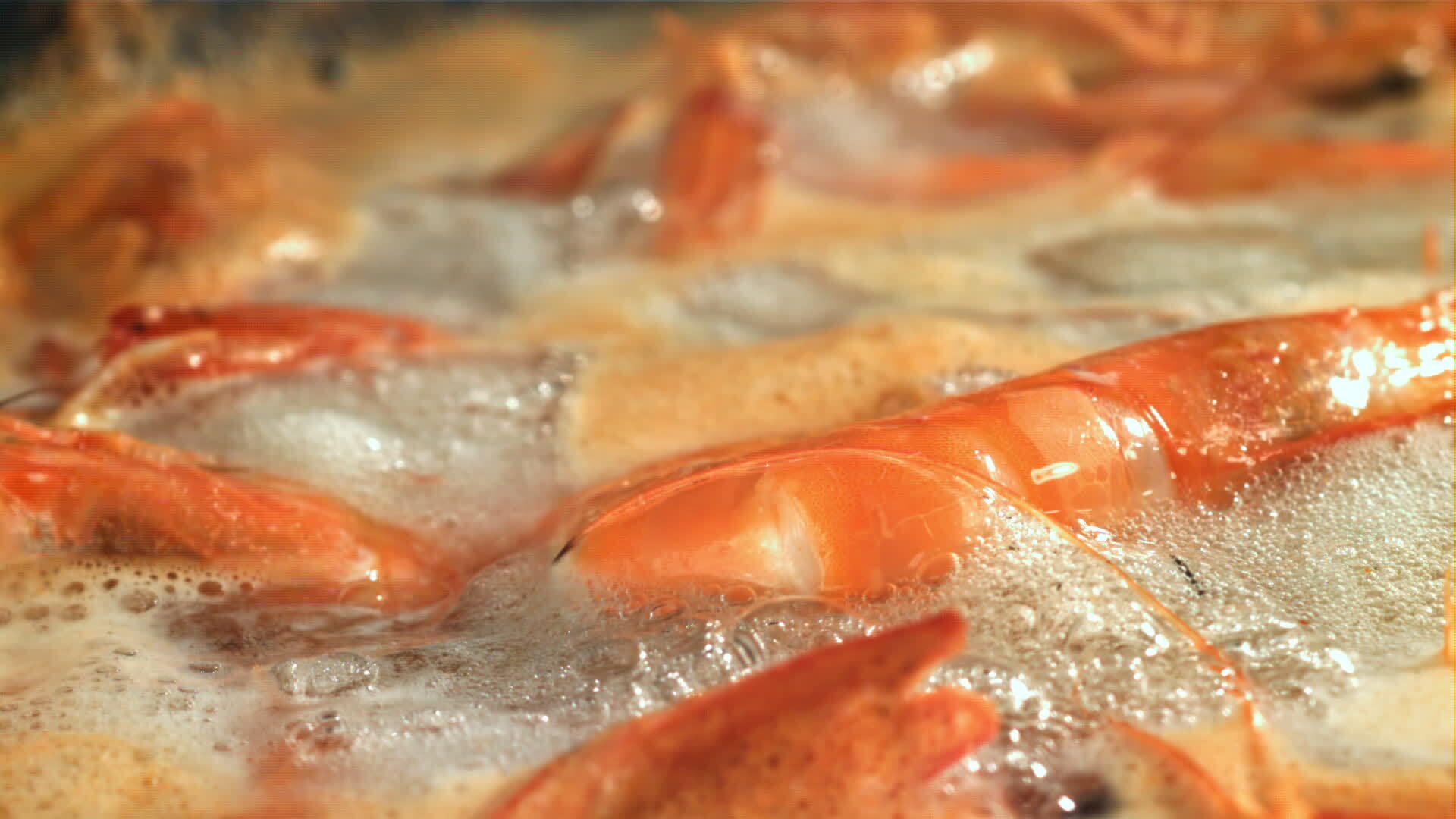 Shrimp in boiling water. Filmed on a highspeed camera at 1000 fps
