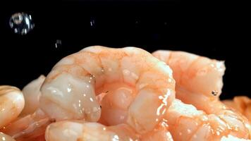 Drops of water drip onto fresh shrimp. Filmed on a high-speed camera at 1000 fps. High quality FullHD footage video