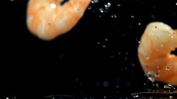 Shrimp falling on a black background. Filmed on a high-speed camera at 1000 fps. High quality FullHD footage video