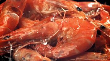 Drops of water drip onto fresh shrimp. Filmed on a high-speed camera at 1000 fps. High quality FullHD footage video