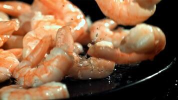 The shrimps fall into a wet plate. Filmed on a high-speed camera at 1000 fps. High quality FullHD footage video