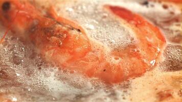 Shrimp in boiling water. Filmed on a high-speed camera at 1000 fps. High quality FullHD footage video