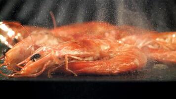 il gamberetto è fritte nel un' padella con un' spruzzata. girato su un' alta velocità telecamera a 1000 fps. alto qualità FullHD metraggio video