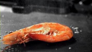 The shrimp is fried in a pan with a splash. Filmed on a high-speed camera at 1000 fps. High quality FullHD footage video