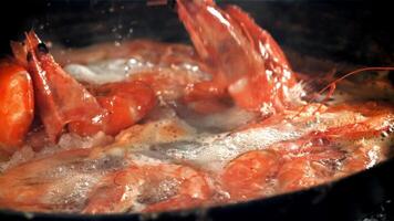 The shrimps fall with splashes into the boiling water. Filmed on a high-speed camera at 1000 fps. High quality FullHD footage video