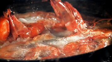 The shrimps fall with splashes into the boiling water. Filmed on a high-speed camera at 1000 fps. High quality FullHD footage video