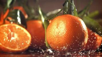 A whole tangerine falls on a wet board. Filmed on a high-speed camera at 1000 fps. High quality FullHD footage video