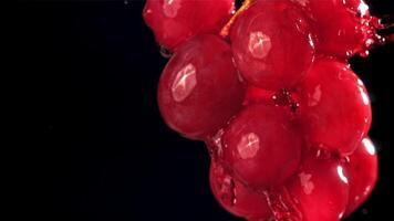 rosso vino corre giù un' ramo di un' uva. girato su un' alta velocità telecamera a 1000 fps. alto qualità FullHD metraggio video