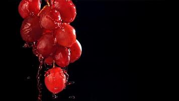 rosso vino corre giù un' ramo di un' uva. girato su un' alta velocità telecamera a 1000 fps. alto qualità FullHD metraggio video