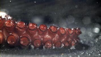 Fried octopus tentacles on a frying pan with a splash of oil. Filmed on a high-speed camera at 1000 fps. High quality FullHD footage video