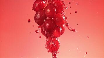 rosso vino corre giù un' ramo di un' uva. girato su un' alta velocità telecamera a 1000 fps. alto qualità FullHD metraggio video