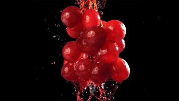 rood wijn loopt naar beneden een Afdeling van een druif. gefilmd Aan een hoge snelheid camera Bij 1000 fps. hoog kwaliteit full HD beeldmateriaal video