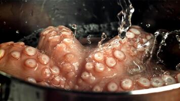 Drops of water fall on a fresh octopus. Filmed on a high-speed camera at 1000 fps. High quality FullHD footage video