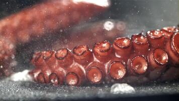 Fried octopus tentacles on a frying pan with a splash of oil. Filmed on a high-speed camera at 1000 fps. High quality FullHD footage video