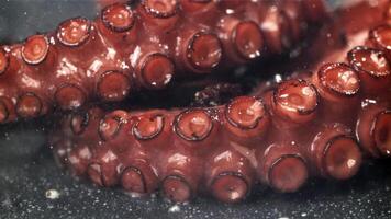 Fried octopus tentacles on a frying pan with a splash of oil. Filmed on a high-speed camera at 1000 fps. High quality FullHD footage video