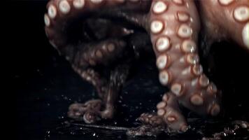 A fresh octopus falls on the table. On a black background. Filmed on a high-speed camera at 1000 fps. High quality FullHD footage video