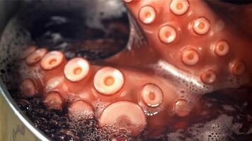 Octopus is gekookt in een pan. gefilmd Aan een hoge snelheid camera Bij 1000 fps. hoog kwaliteit full HD beeldmateriaal video