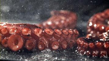 gebakken Octopus tentakels Aan een frituren pan met een plons van olie. gefilmd Aan een hoge snelheid camera Bij 1000 fps. hoog kwaliteit full HD beeldmateriaal video