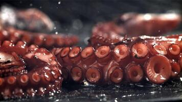 Fried octopus tentacles on a frying pan with a splash of oil. Filmed on a high-speed camera at 1000 fps. High quality FullHD footage video