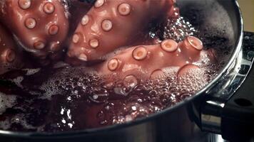 Octopus is boiled in a saucepan. Filmed on a high-speed camera at 1000 fps. High quality FullHD footage video