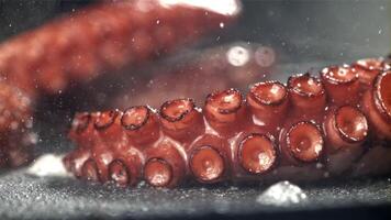 Fried octopus tentacles on a frying pan with a splash of oil. Filmed on a high-speed camera at 1000 fps. High quality FullHD footage video