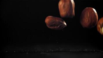 Hazelnuts fall on the table. Filmed on a high-speed camera at 1000 fps. High quality FullHD footage video