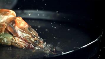a camarão outono para dentro uma molhado placa. filmado em uma alta velocidade Câmera às 1000 fps. Alto qualidade fullhd cenas video