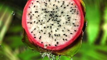 Drops of water fall on a tropical dragon fruit. Filmed on a high-speed camera at 1000 fps. High quality FullHD footage video