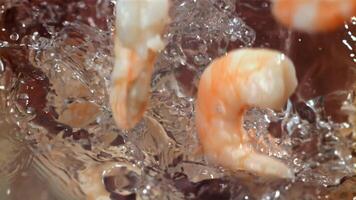 Shrimp splashes fall into the water. Filmed on a high-speed camera at 1000 fps. High quality FullHD footage video